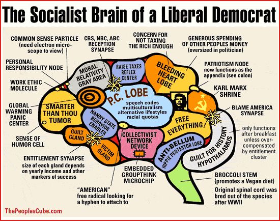 liberal-brain.jpg